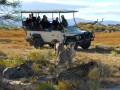 Shark & Safari TRF 2 Day Tour Incl. Transfer